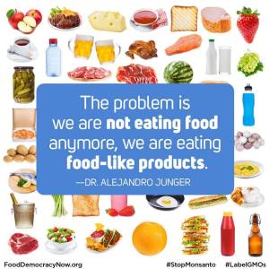 10277874_10153430001496052_7166662130640233807_n