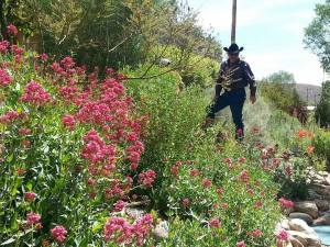 10334434_10202618816094699_674110598897948262_n