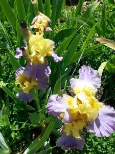 10422984_10202618819854793_499986110017928524_n