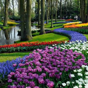 11094692_10153274246689073_5936716710842024401_n