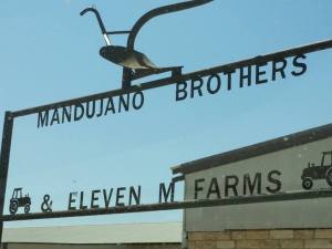 11830157_10204933595842746_1182426581_n