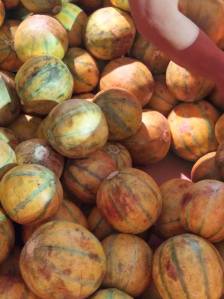 11844174_10204933658084302_1355462235_n